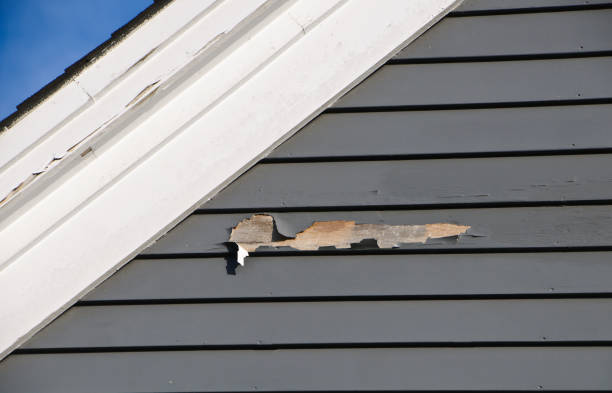 Affordable Siding Repair and Maintenance Services in West Islip, NY